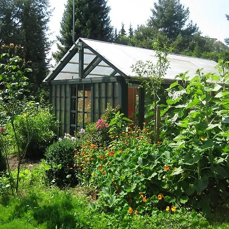 Casa Rosa